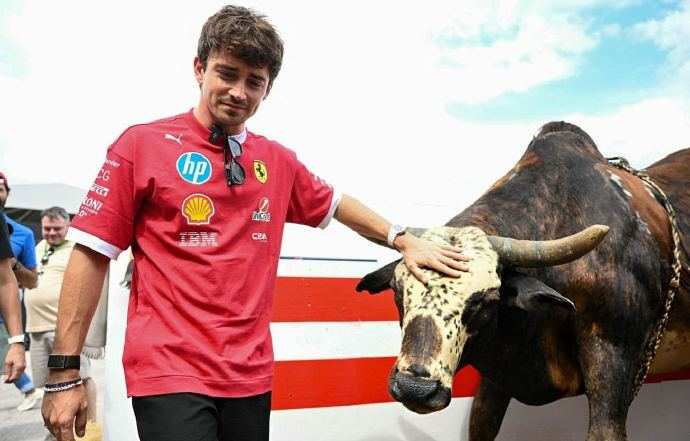 红牛车队翻盘红牛二队，勒克莱尔带队取胜