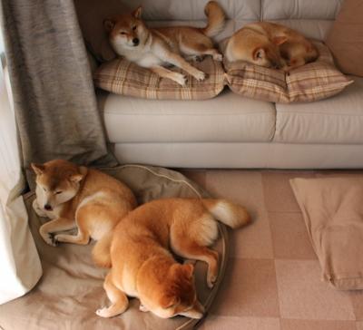 银石赛道惊雷，秩序的挑战者