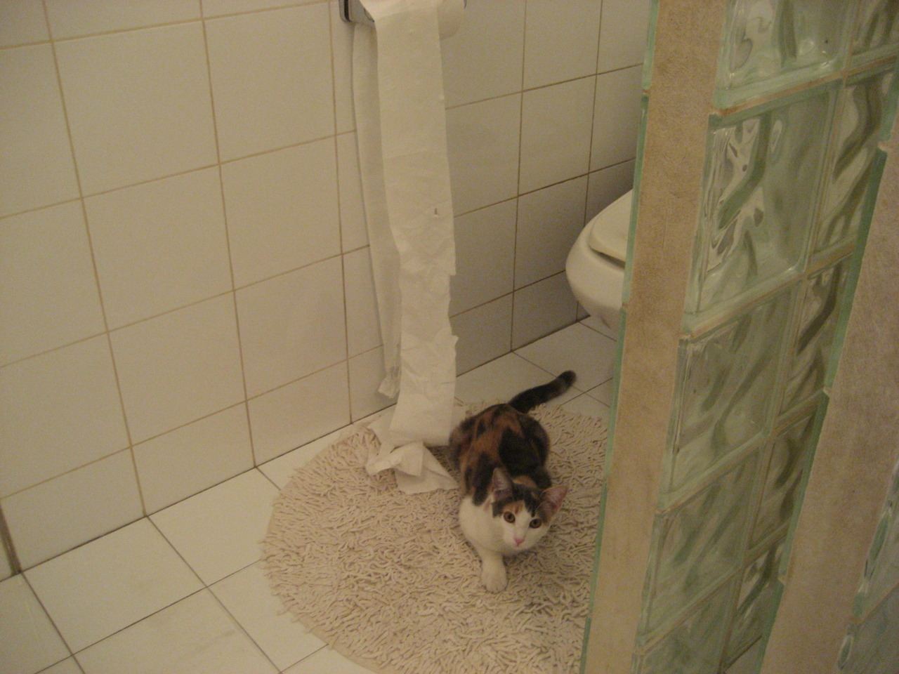 爱游戏大厅-暗线对决，印度队的崛起与马琳的火热状态如何重写亚洲羽球版图