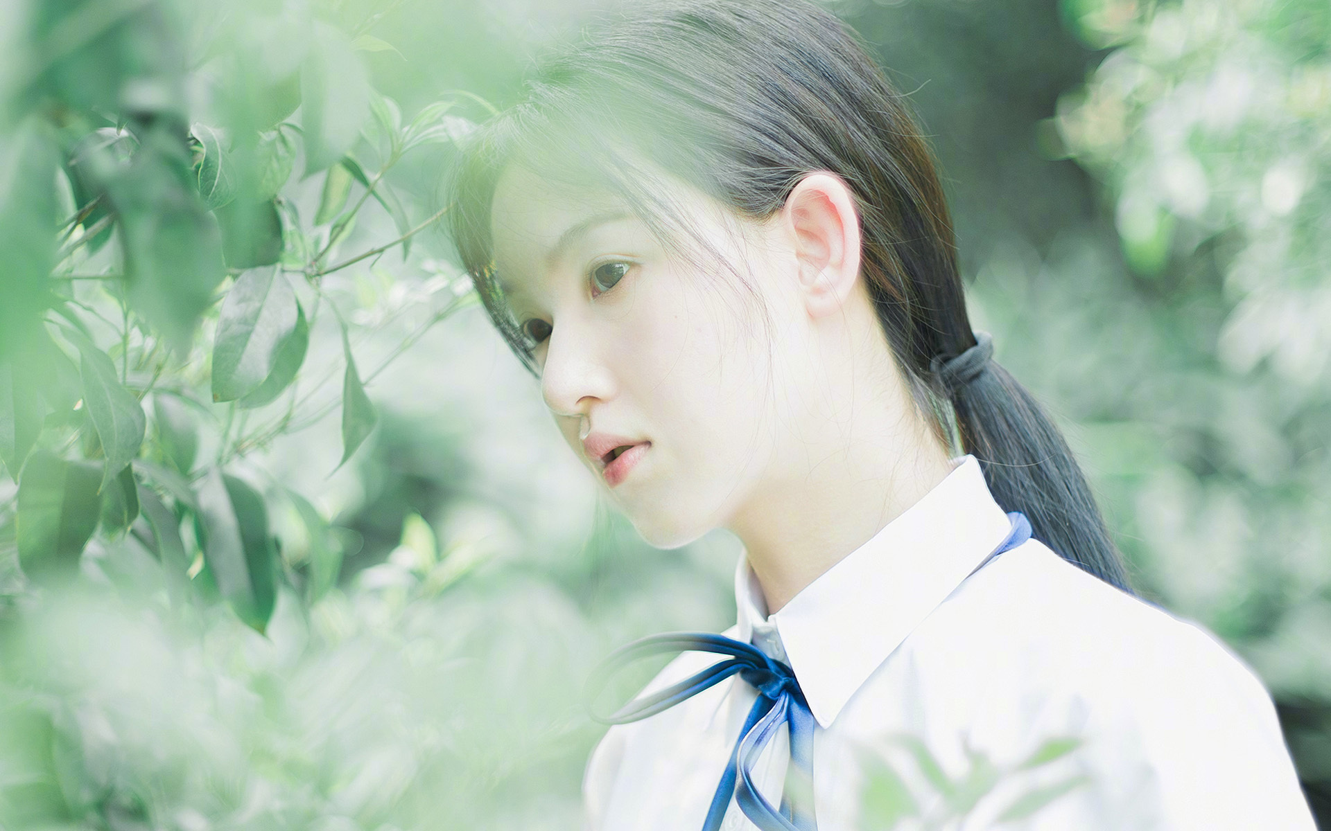 从蒙特卡洛到拉沃尔杯，德约科维奇的统治力是如何跨越红土与团体的双重证明