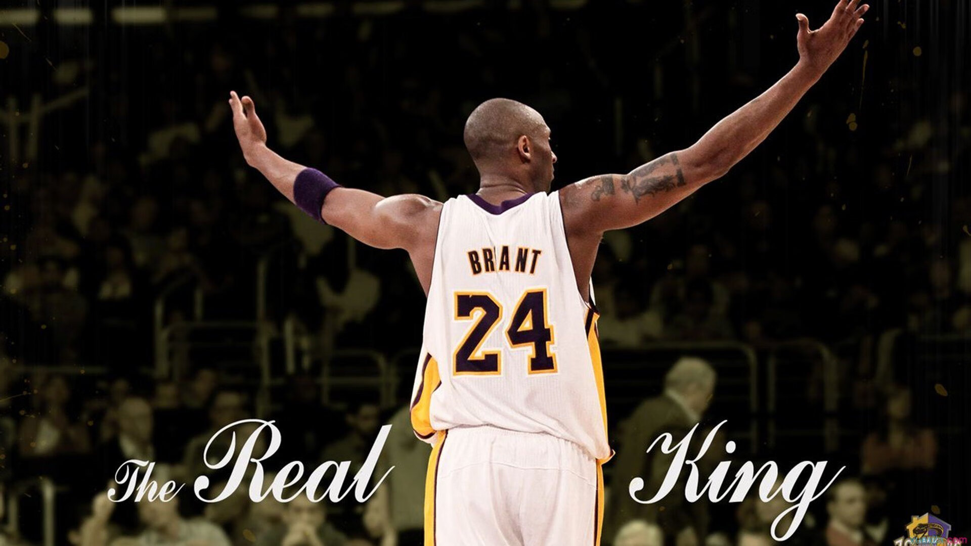 维也纳之剑收割仙人掌,奥利维耶在排名悬崖边接管战争