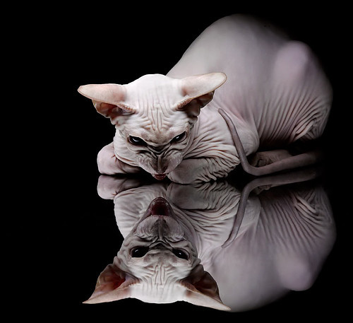 爱游戏官方入口-球场量子纠缠，当拜仁的波函数坍缩遇见哈弗茨的观测者效应