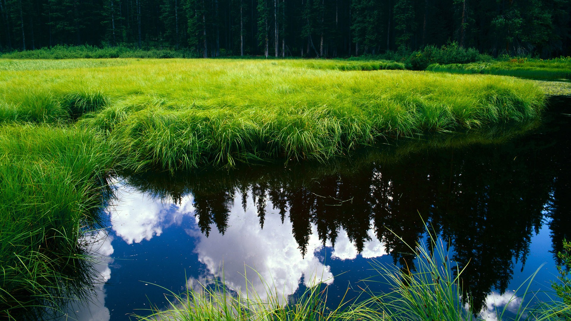 爱游戏在线-团队洪流VS天才野火，老鹰火力网如何吞没太阳，锡安神话徒留悲壮