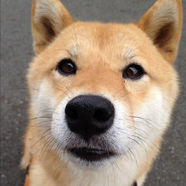 防守者的反击,当斯通斯成为利刃,克罗地亚奏响战吼