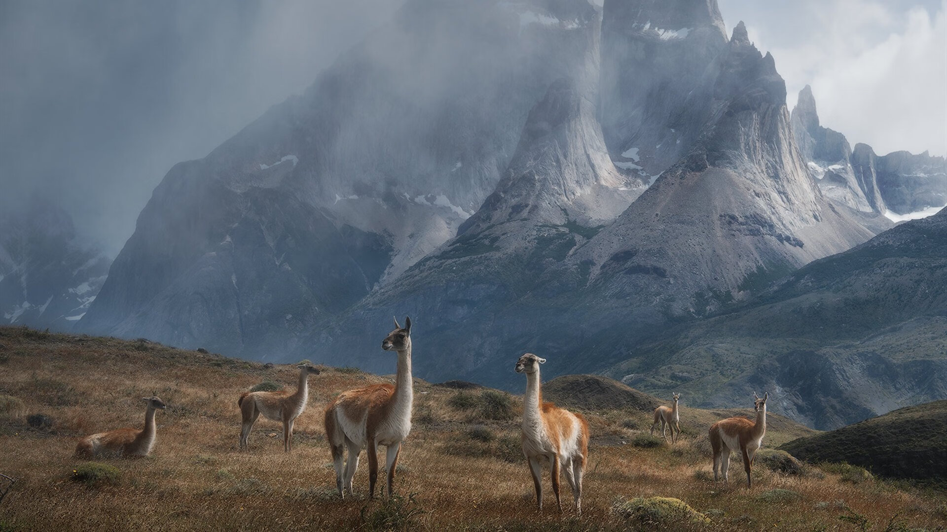 双重逆袭，当贝林厄姆的爆发力撞上爱尔兰的压迫感