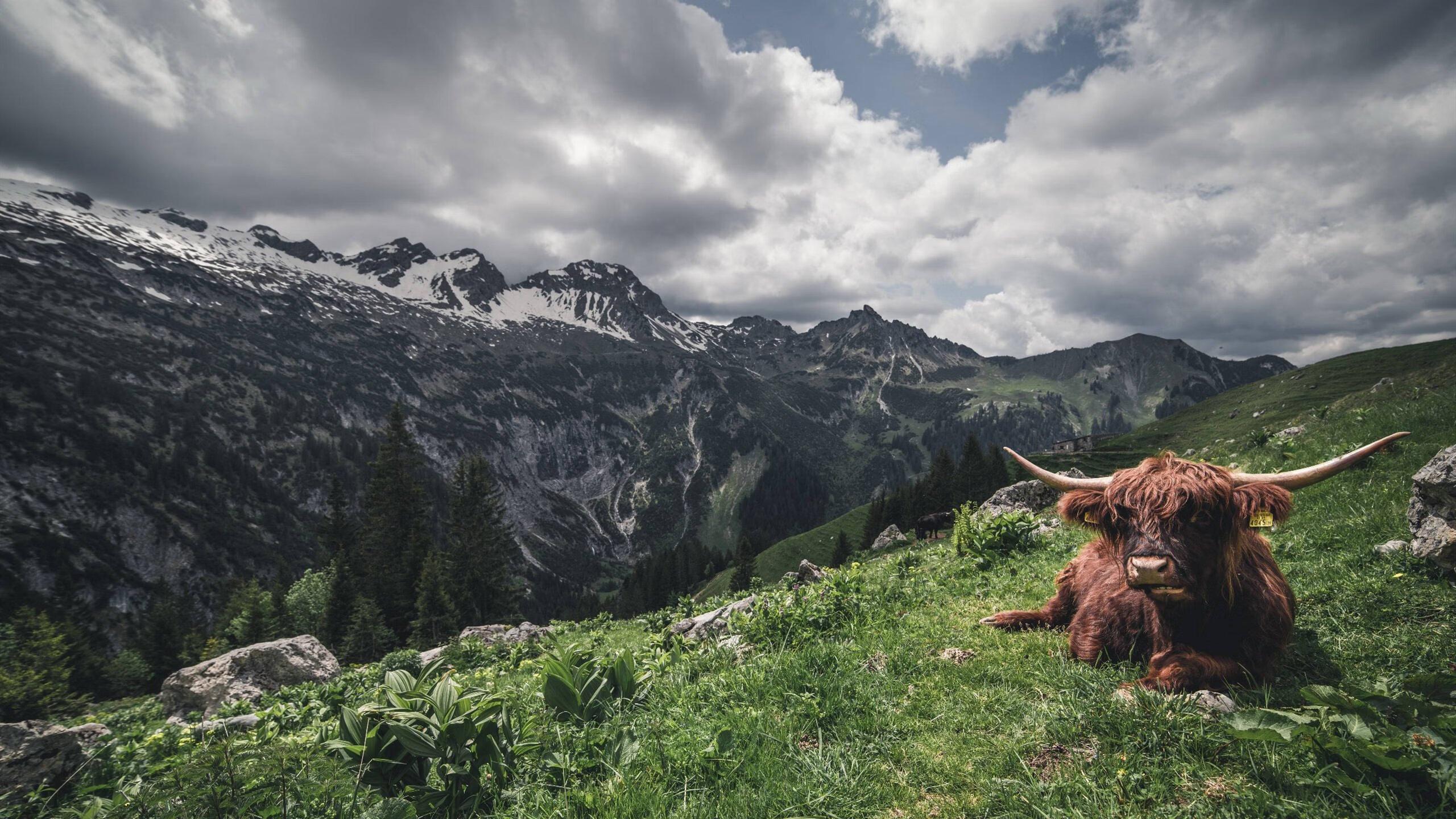 爱游戏官方-分屏之夜，当季后赛的喧嚣遇上芯片的静默轰鸣