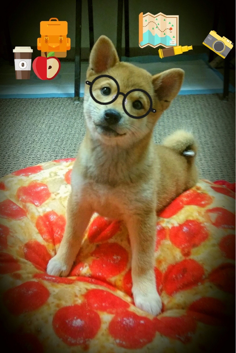 当稳定输出遇见一波流，蒂亚戈的孤独凯歌与安哥拉的团队风暴