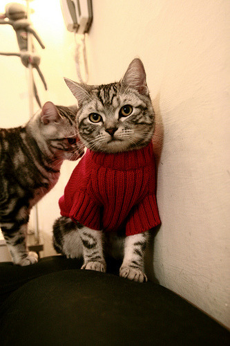 爱游戏大厅-最后4分19秒的沉默轰鸣，戈贝尔与东决夜的生存法则