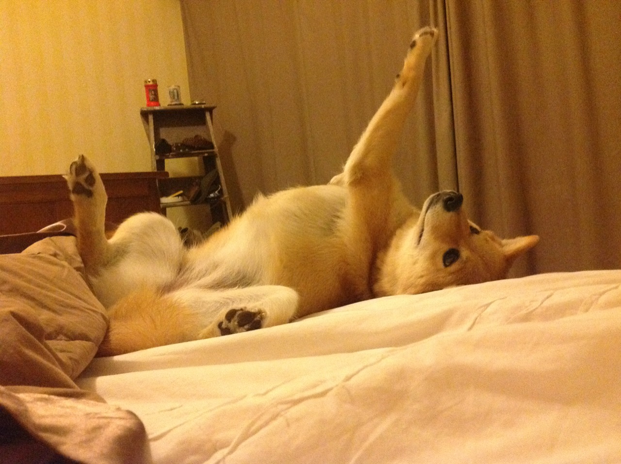 救赎与收割,恩比德冲破心魔,纽约铁蹄踏碎雷霆