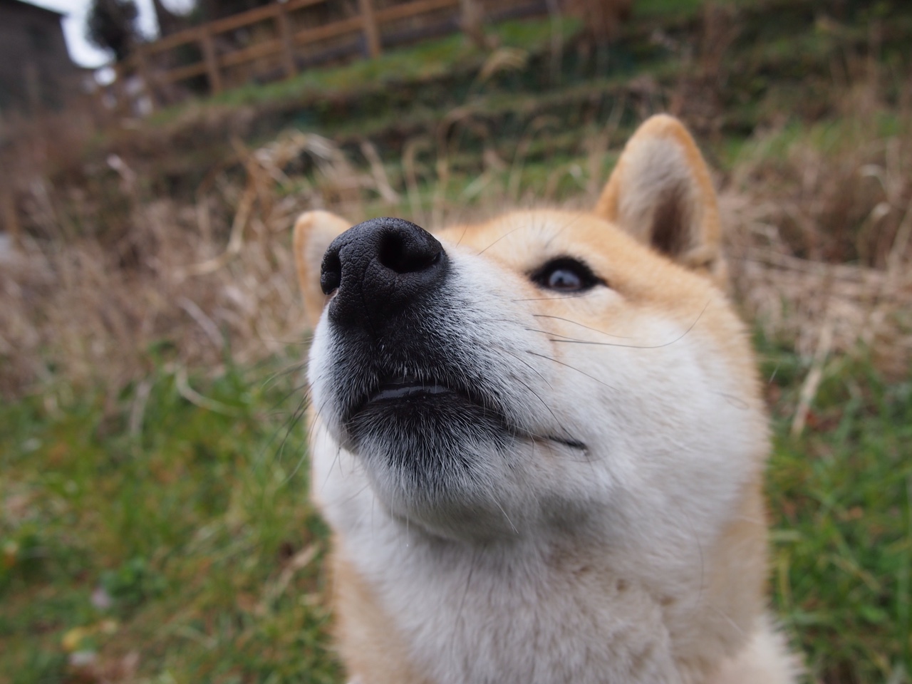 牙买加对阵韩国，孔德一球成名，用实力在质疑与期待之间刻下唯一性