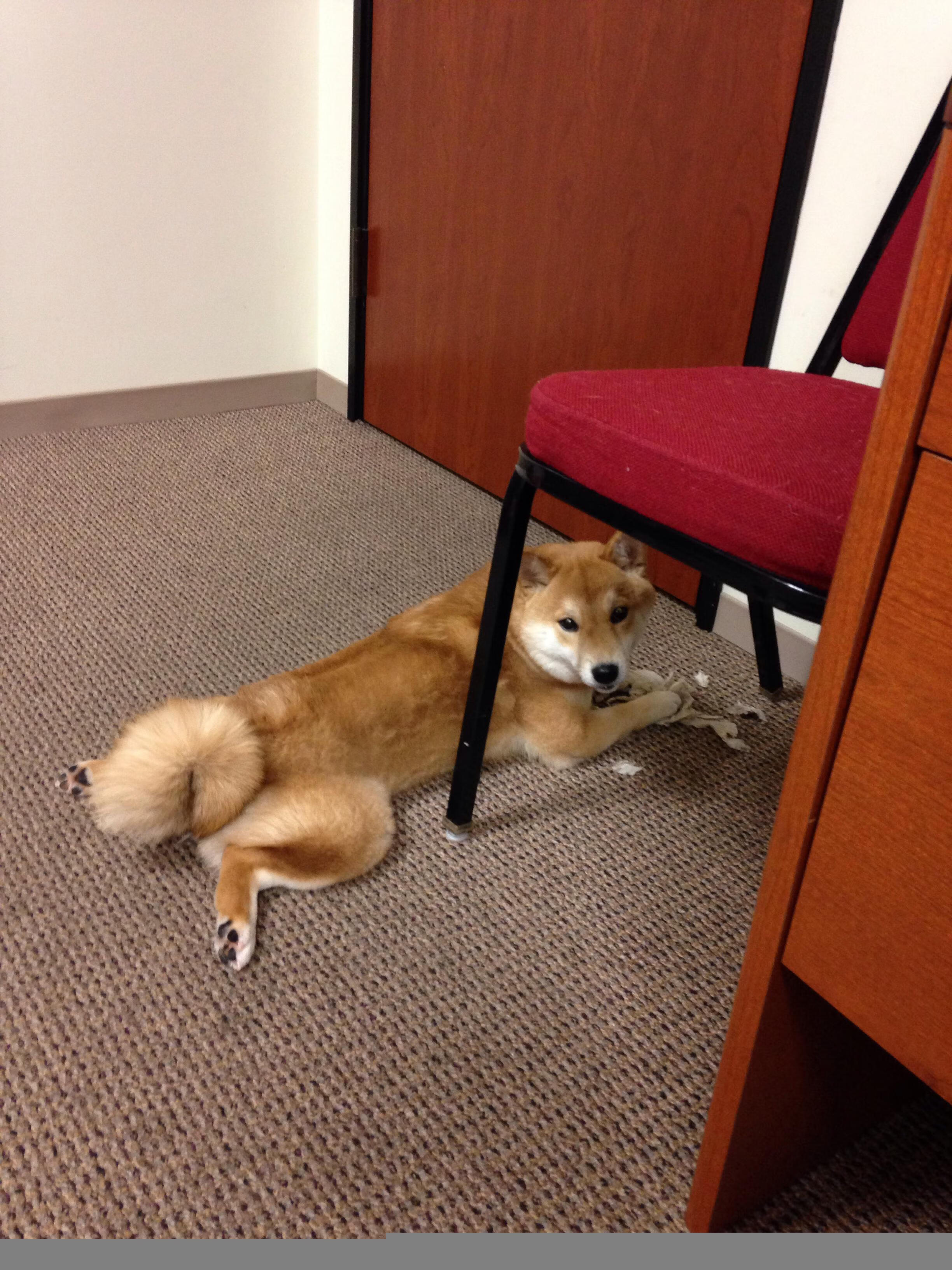 冰火淬炼终成钢,末节惊雷定乾坤