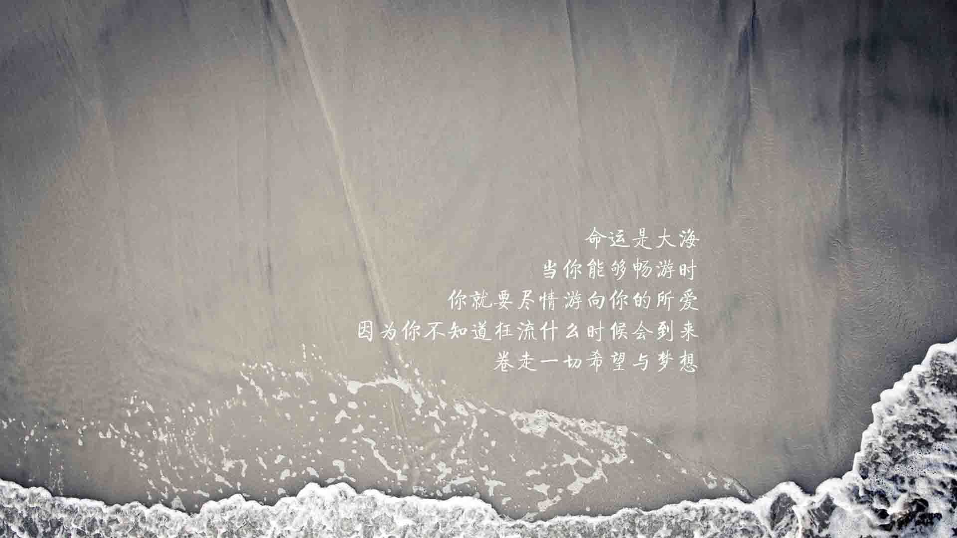 孤星耀世,2026世界杯C组关键战,坎塞洛率匈牙利力克德国,书写草根逆袭唯一剧本