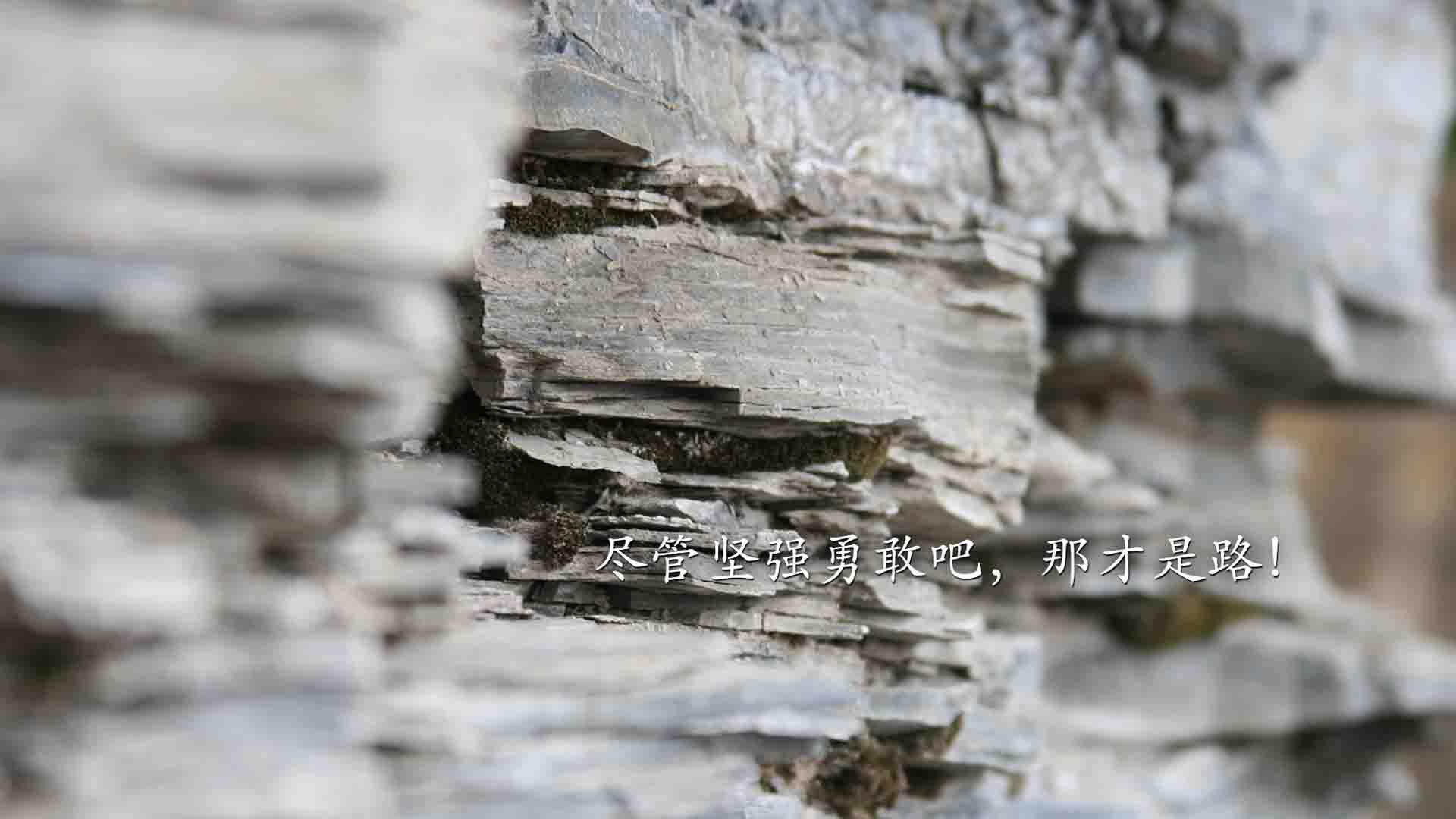 爱游戏在线-冰与火的绝唱，2026世界杯出线战，挪威冰刃斩落袋鼠，孙兴慜的致命一击撕裂南半球之梦