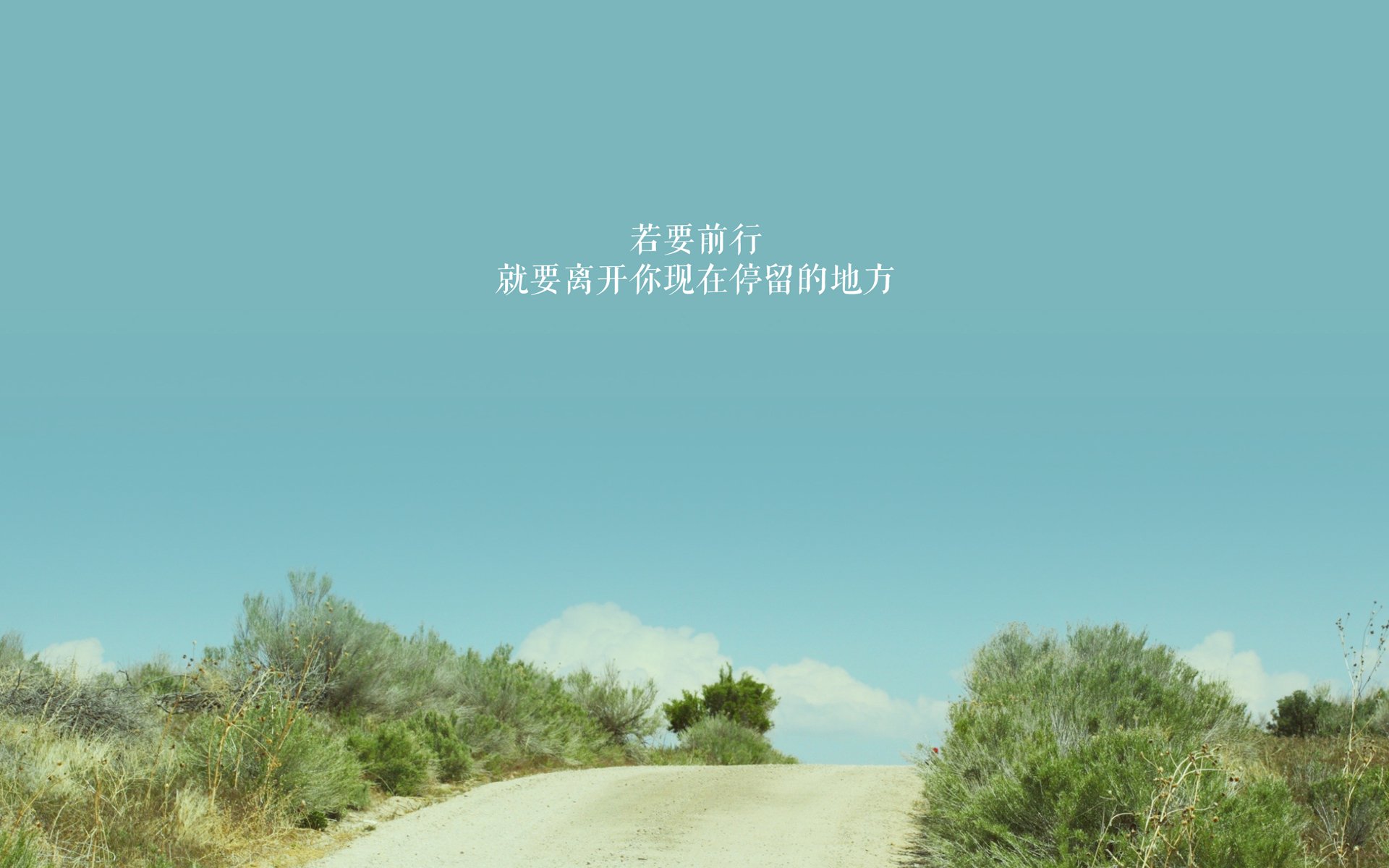 布罗佐维奇之刃,2026世界杯C组暗战,喀麦隆的德国防线裂痕